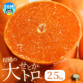 【ふるさと納税】とろける食感 ジューシー柑橘 せとか 約2.5kg ※2026年2月上旬頃～2026年2月下旬頃に順次発送予定 / みかん 蜜柑 柑橘 オレンジ 果物 フルーツ 国産 くだもの 和歌山県 すさみ町 有田みかん みかん ミカン