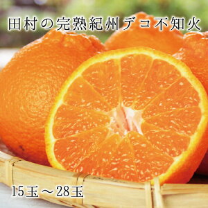 yӂ邳Ɣ[Łzuhc̊nIBfR(sm)@2026N2{`2026N3{ɏ\(͂ws) / ݂  t[c k ~J IW Lc