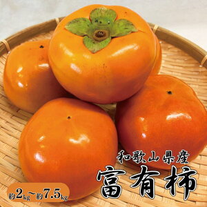 yӂ邳Ɣ[Łz a̎RH̖o xL` yIׂeʁz2kg 4kg 7.5kg 2025N11{`2025N12{ɔi͂wsj/ a̎R ` t[c ʕ JL  ˂Ȃ`