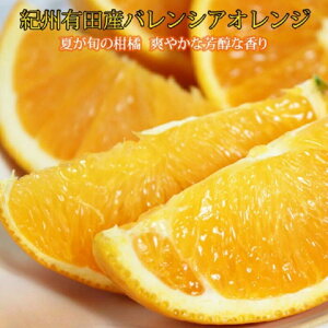 yӂ邳Ɣ[Łz Gi 󏭂ȍYoVAIW 2.5kg 5kg yIׂeʁz ys\z2026N6{`7{\i͂wsj/ IW@t[c ʕ ʎ 