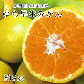 【ふるさと納税】紀州和歌山有田産ゆら早生みかん　5kg　※2024年10月中旬頃〜2024年10月下旬頃順次発送（お届け日指定不可）