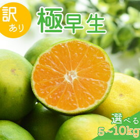 【ふるさと納税】【2026年秋頃発送予約分】【訳あり】こだわりの極早生みかん 選べる容量 ※2026年10月上旬より順次発送予定（お届け日指定不可） 有田産 和歌山 有田みかん みかん フルーツ くだもの 和歌山