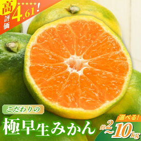 【ふるさと納税】 みかん 極早生 秋発送 農家直送 こだわりの極早生みかん 希少 【選べる容量】約2kg 約4kg 約5kg 約7.5kg 約10kg 数量限定 有機質肥料100% サイズ混合 ※2026年9月下旬より順次発送予定（お届け日指定不可） 有田産 有田 みかん ミカン 早生 極早生