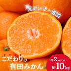 ＼容量・配送時期が選べる／ こだわりの有田みかん 【ご家庭用】 光センサー選別 農家直送 2024年分先行予約 【11月・12月・1月発送から選べます】※日付指定不可 サイズ混合 有機質肥料100% みかん ミカン 温州みかん 有田みかん 柑橘 果物