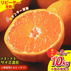 【ふるさと納税】 選べて甘さも高評価★★★★★ 【訳あり】有田みかん 光センサー選別 産直 6000円 10000円 11000円 15000円 17000円 2kg 4kg 5kg 8kg 10kg サイズ混合 みかん 有田みかん 果物 くだもの フルーツ 温州みかん ミカン 和歌山 柑橘 オレンジ