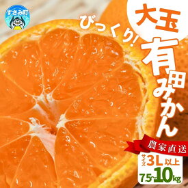 【ふるさと納税】びっくり有田みかん 大玉 3L以上 ファミリー層 高評価★★★★★【選べる容量】 / 訳あり ご家庭用 訳ありみかん 有田みかん フルーツ 果物 7.5kg 10kg 12000円 10000円 先行予約 農家直送 【※11月中旬～12月下旬に順次発送(お届け日指定不可)】