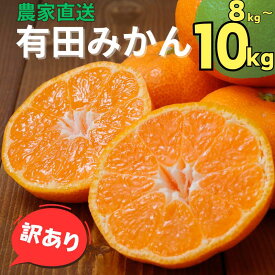 【ふるさと納税】 【訳あり】 有田みかん 【選べる容量】 農家直送 ※2024年11月中旬より順次発送予定（お届け日指定不可）】 先行予約 ご家庭用 自宅用 訳ありみかん 農家直送 サイズ混合 有機質肥料100% ミカン