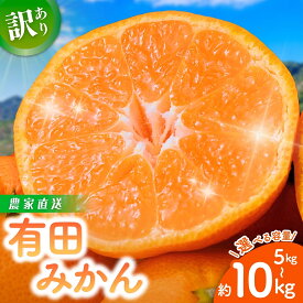 【ふるさと納税】有田みかん 訳あり【アフターフォロー】 農家直送 （お届け日指定不可）ご家庭用 自宅用 訳あり みかん 果物 くだもの フルーツ わけあり 7000円 10000円 12000円 農家直送 サイズ混合 有機質肥料100% 家庭用 和歌山県 有田みかん