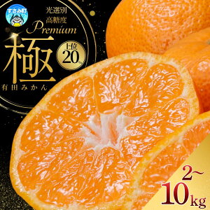 yӂ邳Ɣ[Łz Lc݂v~A eʑIׂ 2kg 3.5kg 5kg 10kgyI肷̏20͂z2S`LTCY 2025N11{`2026N1{ɏ\ kCE