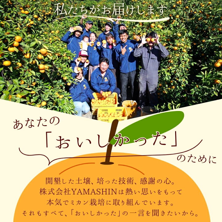 楽天市場】【ふるさと納税】有田みかん 農家直送 訳あり（お届け日指定 