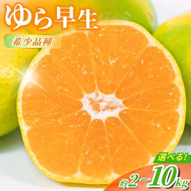 【ふるさと納税】【先行予約】 ＼光センサー選別／＼農家直送／ 甘くて濃厚 希少品種 ゆら早生みかん 【ご家庭用】 2kg 4kg 5kg 7kg 10kg【選べる容量】 サイズ混合 有機質肥料100% 【2026年10月上旬より順次発送予定（お届け日指定不可）】果物 みかん 早生