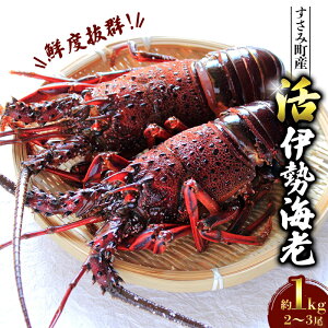 �� �ɐ��C�V �y�N�����͂��z ��I�����݂̊����ɐ��C�V ��1kg(2�C)�y���t�w��K�{�z �ɐ��C�V �ɐ��G�r �C�Z�G�r �C�V ���� �G�r ���� �V�R �����ݒ�