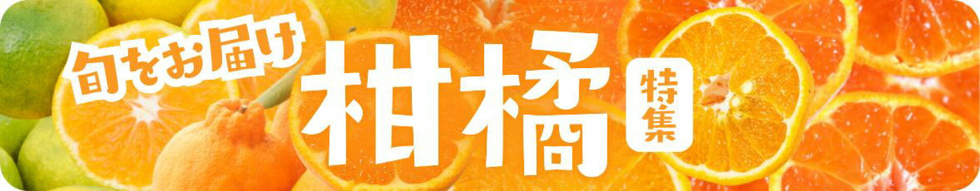 柑橘特集