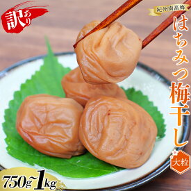 【ふるさと納税】 紀州南高梅 大粒 はちみつ梅干し 【選べる容量】 1kg 750g 塩分約8% ご家庭用 無選別 訳あり 訳アリ 梅 梅干 梅干し うめ ウメ 南高梅 はちみつ梅 はちみつ梅干 大粒 大容量 たっぷり お得 ご飯のお供 人気 健康