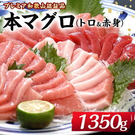 【ふるさと納税】本 マグロ 養殖 トロ 赤身 計1.35kg | 鮪 セット 詰合せ 詰め合わせ 魚 魚介類 お取り寄せ グルメ maguro 人気 おススメ 和歌山県 那智勝浦町 和歌山 返礼品 海鮮 刺身 刺し身 お刺身 さしみ まぐろ 大トロ 中トロ 本マグロ 食べ比べ 食べ比べセット 酒の肴