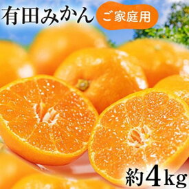 【ふるさと納税】ご家庭用 完熟 有田みかん 約4kg 【先行予約 2024年11月上旬～11月下旬発送 】 【訳あり】