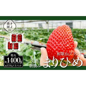 yӂ邳Ɣ[Łz܂Ђ߃C`S E 6`11×4pbNm2026N1{蔭nms\nmKT4n |   t[c ʕ  Hi lC  