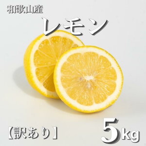 yӂ邳Ɣ[Łza̎RY  5kg m󂠂n mUS1n |  k t[c ʕ  Hi lC  