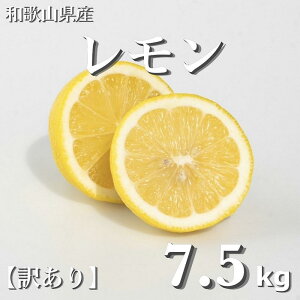 yӂ邳Ɣ[Łza̎RY  7.5kg m󂠂n mUS2n |  k t[c ʕ  Hi lC  
