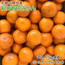 【ふるさと納税】【訳あり】和歌山有田みかん約5kg（S～Lサイズいずれかお届け）★2024年11月中旬頃より順次発送【TM81】