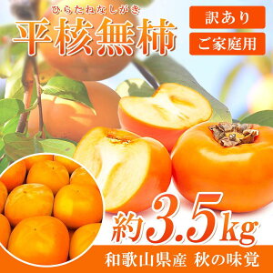yӂ邳Ɣ[Łzyƒpzj`iЂ炽˂Ȃj3.5kg a̎RH̖oy2025NzyUT31z | ԗi ` JL  {̉ʕ {̃t[c ʕ  t[c ʎ 