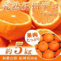 楽天市場】自然落下 南高梅の通販