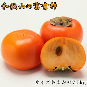 yӂ邳Ɣ[Łz [Ê`̉l]a̎RYxL`@7.5kg TCY܂2025N11{菇yTM5z