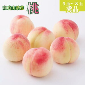 yӂ邳Ɣ[Łza̎RY  5ʁ`8 2kg GimUS36n |   ʕ  t[c ʎ {̉ʕ {̃t[c v[g Mtg 蕨 i