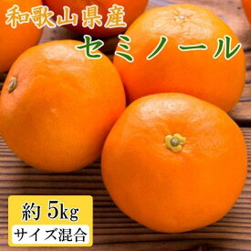 【ふるさと納税】和歌山県産セミノールオレンジ約5kg(サイズ混合　秀品)★2025年4月頃より順次発送【TM146】