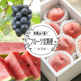 【ふるさと納税】定期便全3回　和歌山の人気の夏のフルーツをお届け！ | フルーツ 果物 くだもの 食品 人気 おすすめ 送料無料