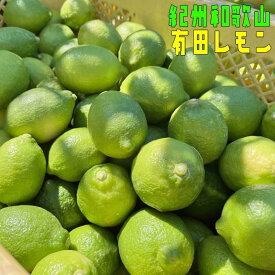 【ふるさと納税】紀州 和歌山 有田 レモン 約3kg【和歌山県産】【農家直送】【先行予約・2024年10月上旬～2025年1月下旬発送】 | フルーツ 果物 くだもの 食品 人気 おすすめ 送料無料 農家直送