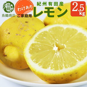yӂ邳Ɣ[Łzmƒp󂠂n IBLcY 2.5kgm2026N3{ȍ~nms\nmUT46n | t[c ʕ  Hi lC  