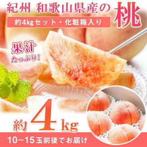 yӂ邳Ɣ[ŁzGi IBa̎RY̓ 4kg@ϔm2026N6{菇nmUT106n |   ʕ  t[c ʎ {̉ʕ {̃t[c v[g Mtg 蕨 