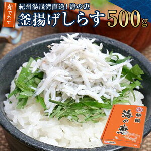 yӂ邳Ɣ[ŁzIBpIČb@䥂łĊg炷@500g@y①z | a̎R a̎R ߒqY ԗi 炷 VX g炷 Yi Yi yY т̂ 