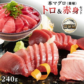 【ふるさと納税】本 マグロ 養殖 トロ 赤身 計240g | 鮪 セット 詰合せ 詰め合わせ 魚 魚介類 お取り寄せ グルメ maguro 人気 おススメ 和歌山県 那智勝浦町 和歌山 本マグロ まぐろ 刺身 お刺身 マグロ丼 海鮮 海鮮丼 名産品 特産品 返礼品 お取り寄せグルメ 柵 冷凍 さしみ