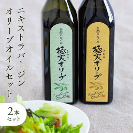 【ふるさと納税】こだわりのエキストラバージンオリーブオイルセット【SM3】 | 和歌山県那智勝浦町 オリーブオイル 人気 おすすめ エキストラバージン ヘルシー 調味料 ギフト 贈答品 お取り寄せ 送料無料 ふるさと納税