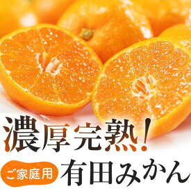 【ふるさと納税】ご家庭用 濃厚完熟 有田みかん 約4～10kg 【2024年11月～2025年1月発送】 農家直送 訳あり