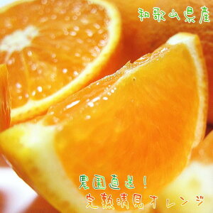 yӂ邳Ɣ[ŁzLc炿 n  IWiƒpj10kgms\nmMS35n | t[c ʕ  Hi lC   _ƒ