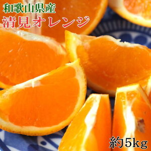 yӂ邳Ɣ[Łza̎RYIW5kgiTCYj2026N3{菇mTM160n | fR| sm t[c ʕ  Hi lC  