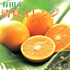 yӂ邳Ɣ[ŁzmZn_Ƃ񒼑̐IW 5kgiTCY܂EGij2026N2{菇mTM152n | t[c ʕ  Hi lC  