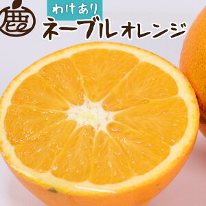 yӂ邳Ɣ[Łzms\nƒp l[uIW10kg+250giݕ⏞jmZT[IʁnmkEW[Xnm󂠂nmIKE43n | k t[c ʕ  Hi lC  