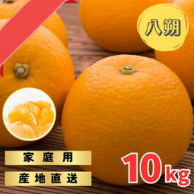 【ふるさと納税】木なりはっさくみかん ご家庭用 10kg箱入【WS10】 | みかん 蜜柑 フルーツ 果物 くだもの 食品 人気 おすすめ 送料無料