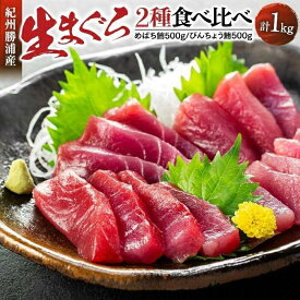 【ふるさと納税】生まぐろ2種食べ比べセット1kg　【一部離島配送不可】 | 那智勝浦町 生まぐろ トロ 赤身 海鮮 人気 おすすめ 刺身 寿司 魚介類 冷凍 鮮度抜群 グルメ お取り寄せ 送料無料 ふるさと納税