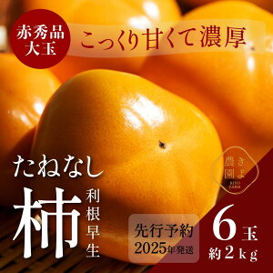 yӂ邳Ɣ[Łz`(햳) 6 (2kg) Giʁy2025N9{蔭zyKT1z | `  t[c ʕ  Hi lC  