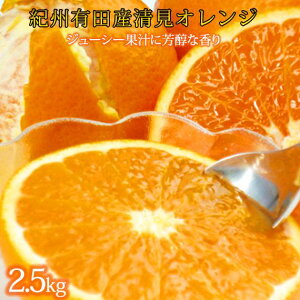 yӂ邳Ɣ[ŁzƂɂW[V[IW 2.5kgm2026N3{ȍ~nms\nmUT131n | t[c ʕ  Hi lC  Yn 