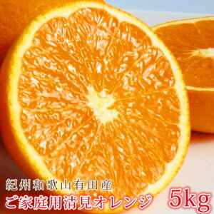 yӂ邳Ɣ[Łzmƒp󂠂nIBLcYIW 5kgm2026N3{ȍ~nms\nmUT132n | t[c ʕ  Hi lC  Yn 