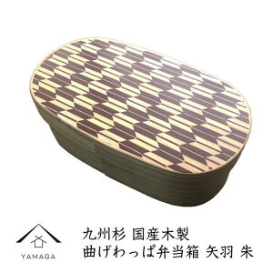 yӂ邳Ɣ[ŁzmIׂJ[nIB Ȃ ٓ H iBYcj | H o pi lC  