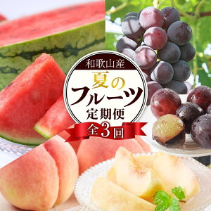 yӂ邳Ɣ[Łz֑S3 a̎R̐lC̉Ẵt[c͂I mTM204n | t[c ʕ  Hi lC  