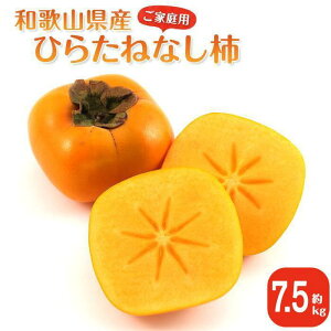 �y�ӂ邳�Ɣ[�Łz�m2026�N10����{�ȍ~�����n����s�\�� �a�̎R���Y ���j���`�����ƒ�p����7.5kg ���t�l�� �` �햳�� ���˂Ȃ� �Ђ炽�� �󂠂� �mMG87�n | �a�̎R���ߒq���Y�� �t���[�c ��