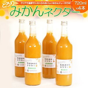 yӂ邳Ɣ[ŁzƂ@݂lN^[720ml×4{mIKE227n | t[c ʕ  Hi lC  